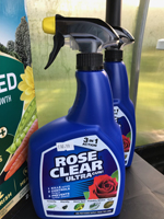 Rose Clear